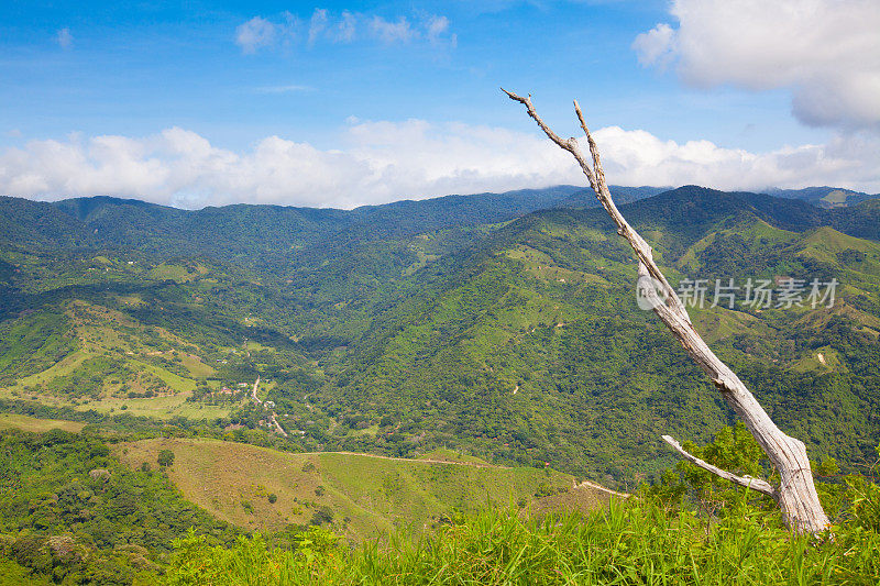 蒙特维德风景，哥斯达黎加