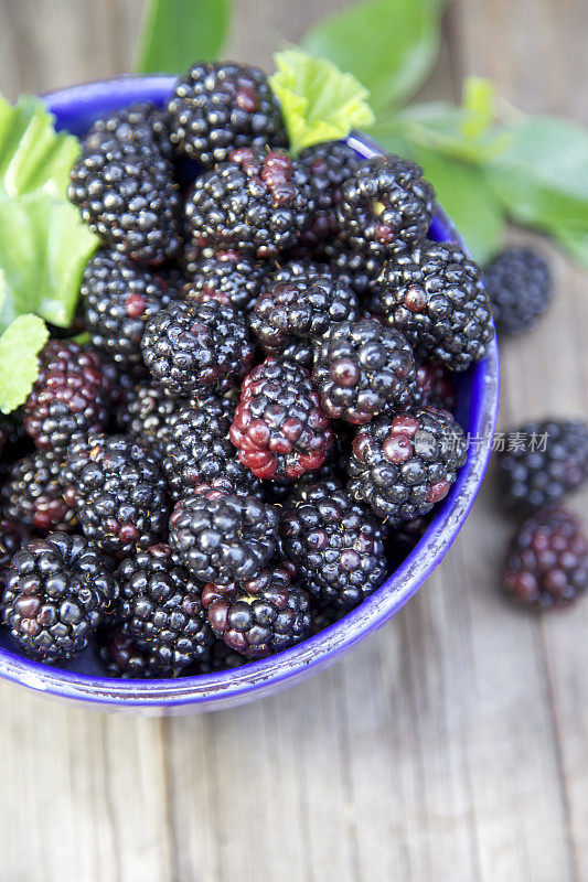 新鲜Blackraspberries