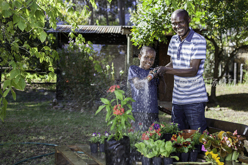 一对非洲父子在给他们的植物浇水