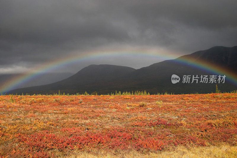 风景如画的彩虹