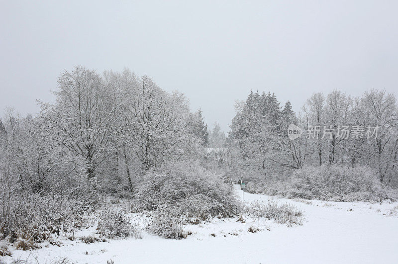 加拿大不列颠哥伦比亚省弗雷泽山谷的雪草地