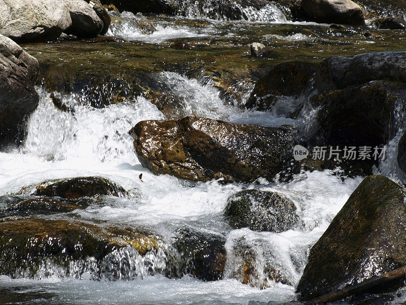 阿尔卑斯山山上清澈的水