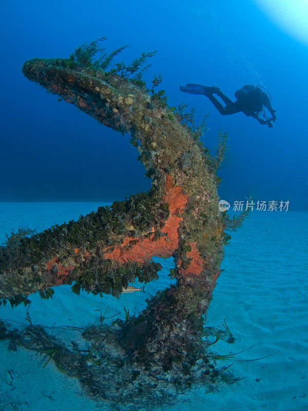 水肺潜水员和锚水下