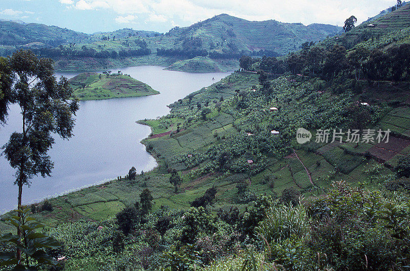 密集山坡农业，布勒拉湖，卢旺达西北部