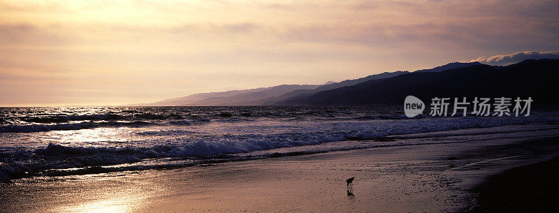 加州海滩