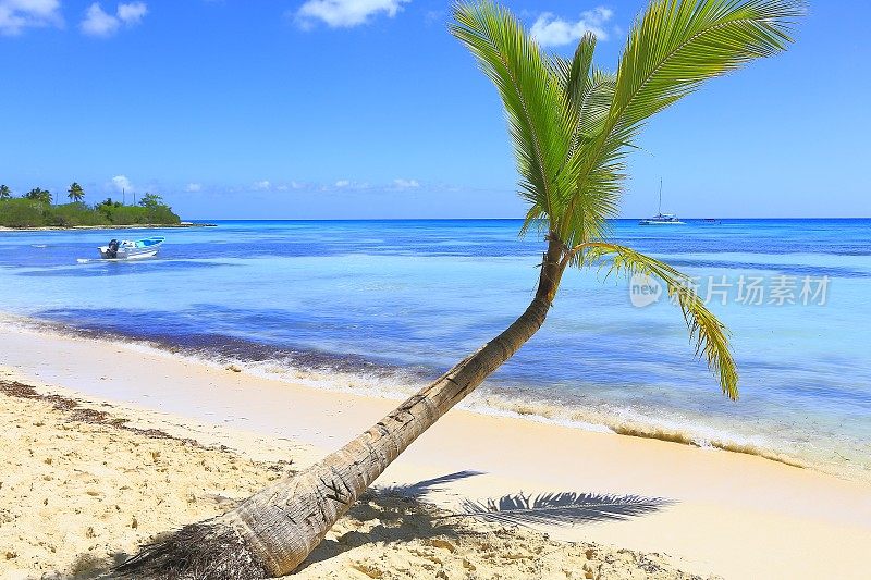 热带天堂:幽静的绿松石海滩，游艇，孤独的棕榈树
