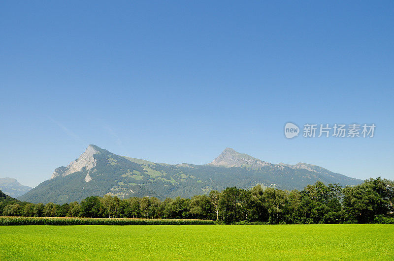 夏天，瑞士阿尔卑斯山的绿色田野、草地和山脉