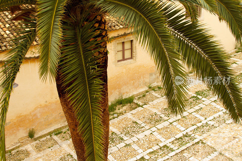 美丽的古老鹅卵石庭院和棕榈树，诺托，西西里