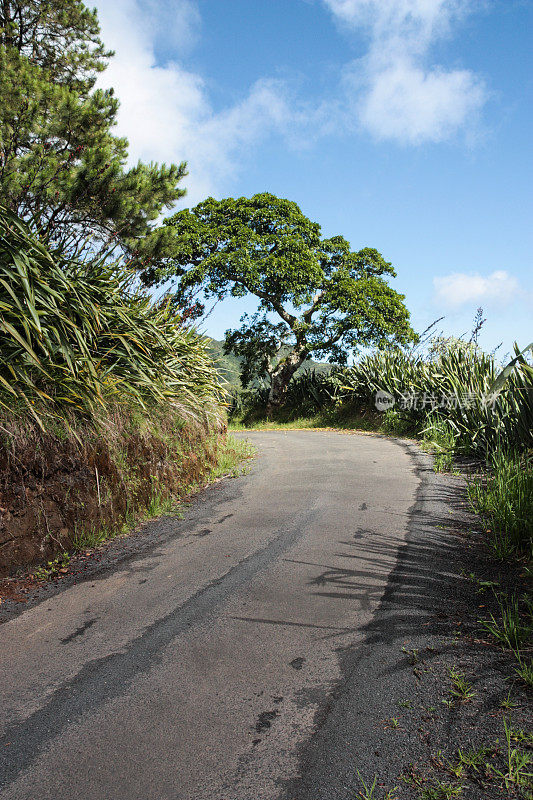 圣赫勒拿路