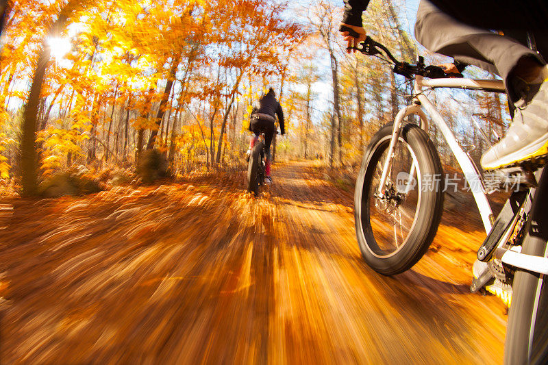 一对夫妇在秋天的小路上骑胖自行车