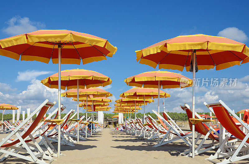 沙滩椅和阳伞排成一排