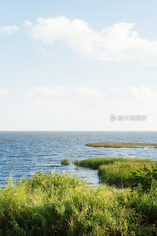 风景秀丽的湖奥基乔比淡水佛罗里达景观美国地平线