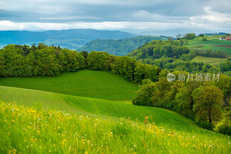 瑞士的乡村景观