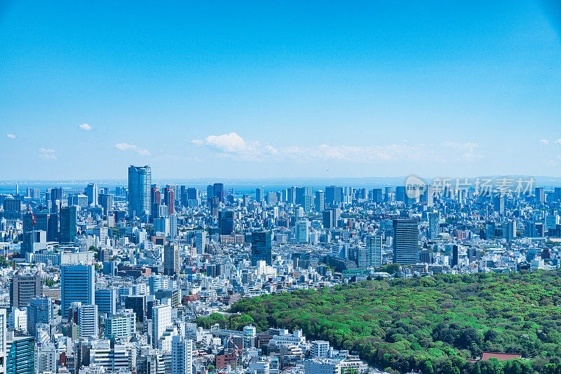 东京，日本——2017年4月23日:从京都政府大楼(东京市政厅)鸟瞰日本首都