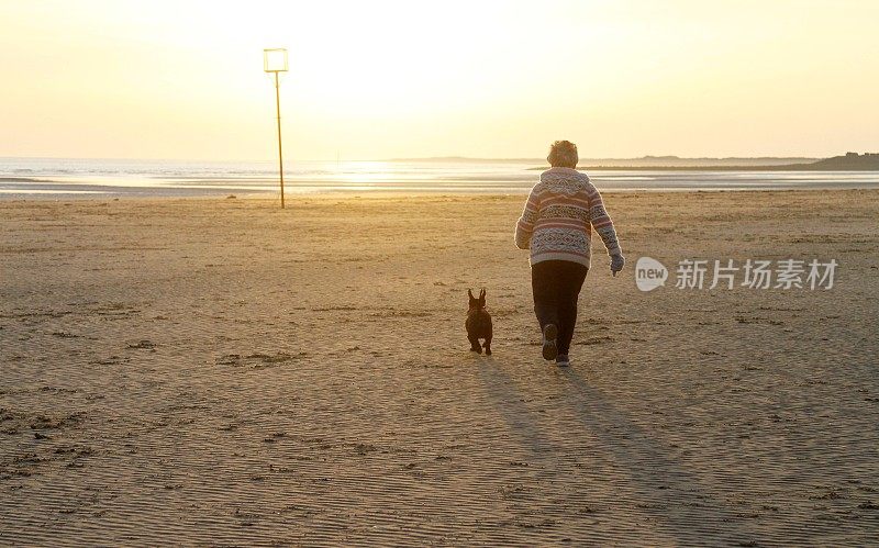 老妇人和狗在海滩上