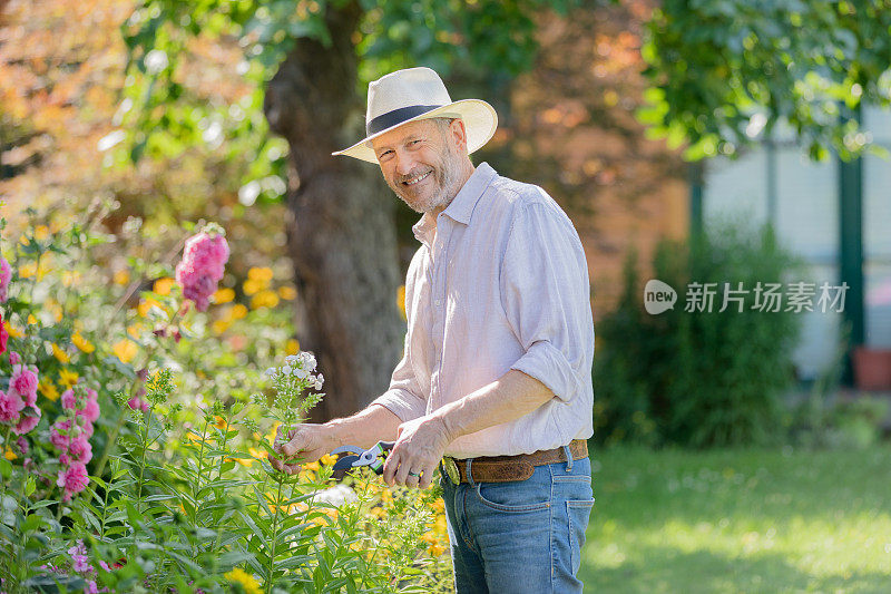 老年人园艺-老年人在他的花园里，园艺