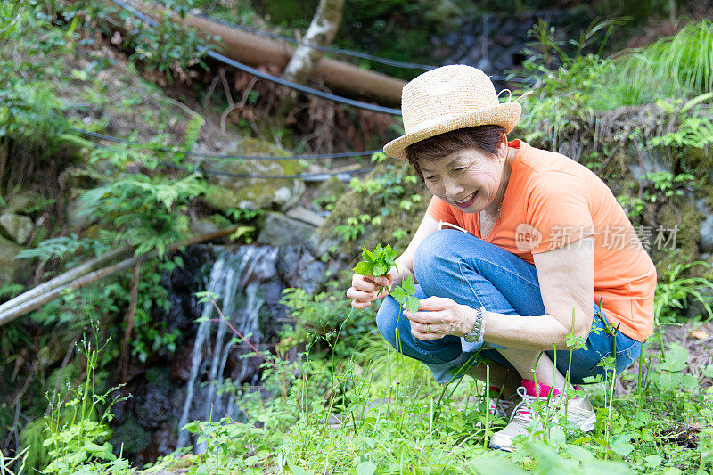 老年妇女喜欢夏天徒步旅行