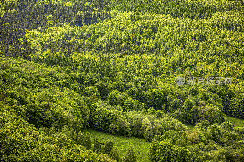 全景山景