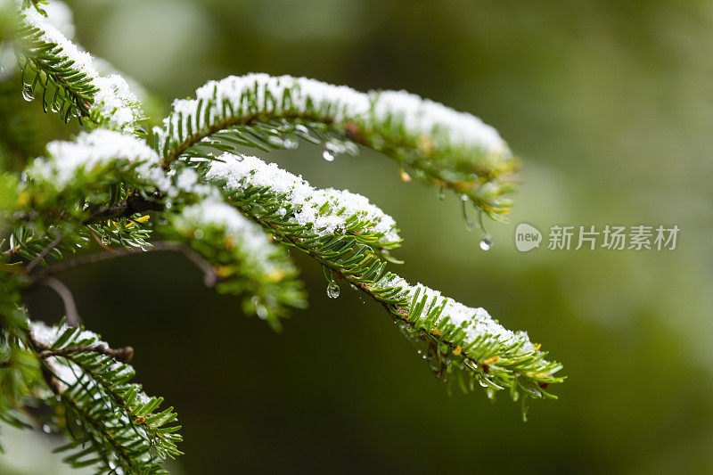 初雪，立冬