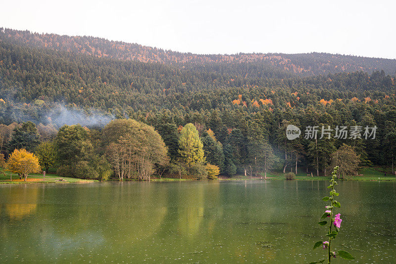 阿班特湖国家公园