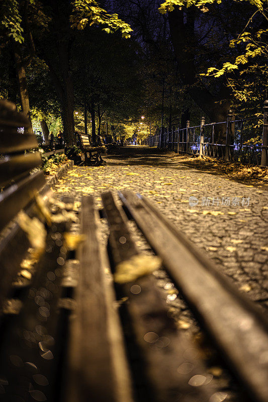 秋夜在城市大道(HDRi)