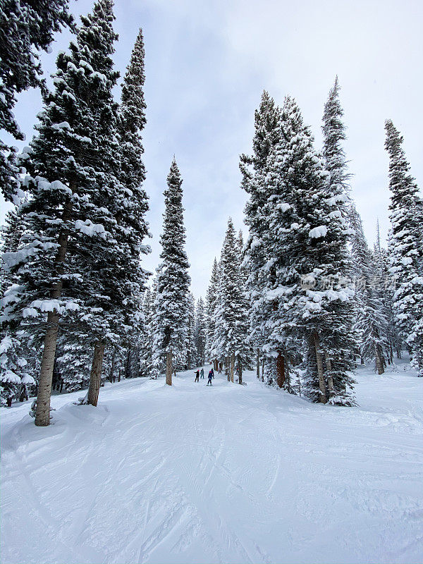 美国科罗拉多州滑雪胜地