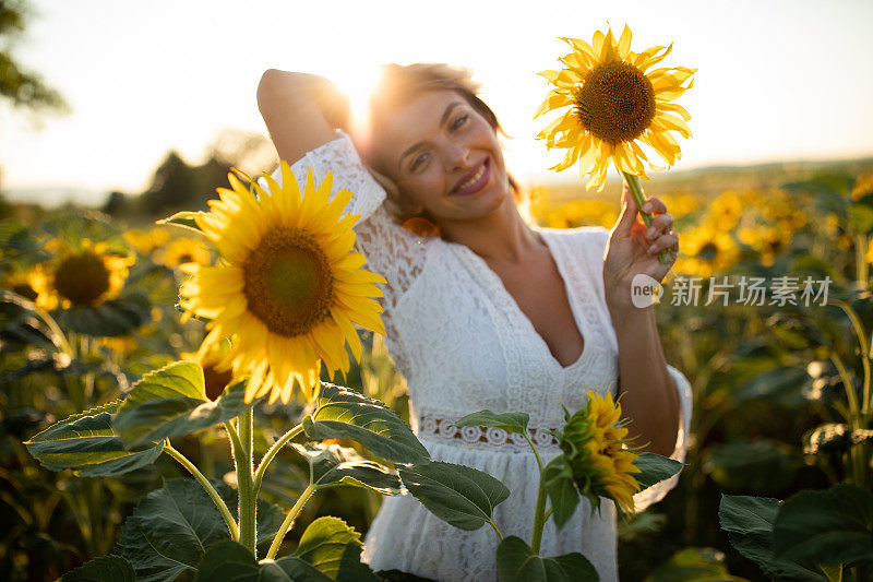 向日葵地里的美女