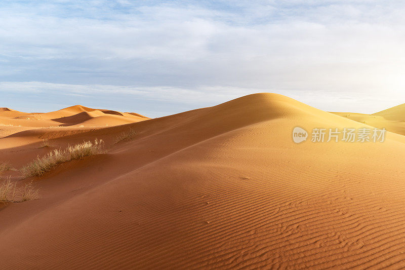 摩洛哥Merzouga沙漠的橙色沙丘和多云的天空。