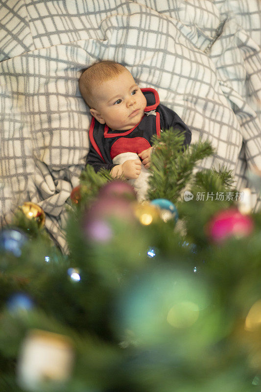 圣诞树和可爱的小男孩