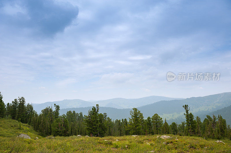 针叶林。西伯利亚。山的风景。