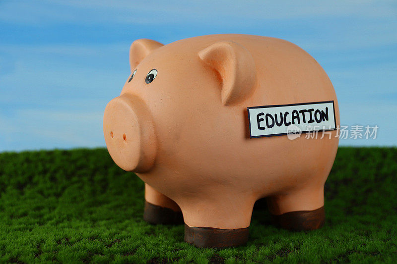 图像的小猪银行与插槽顶部与教育标签，家庭财务和储蓄的概念