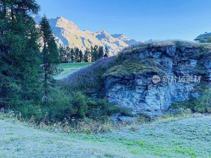 上恩加丁的风景，早晨