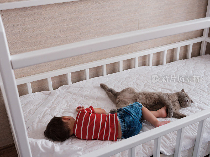 小男孩和猫睡在一起