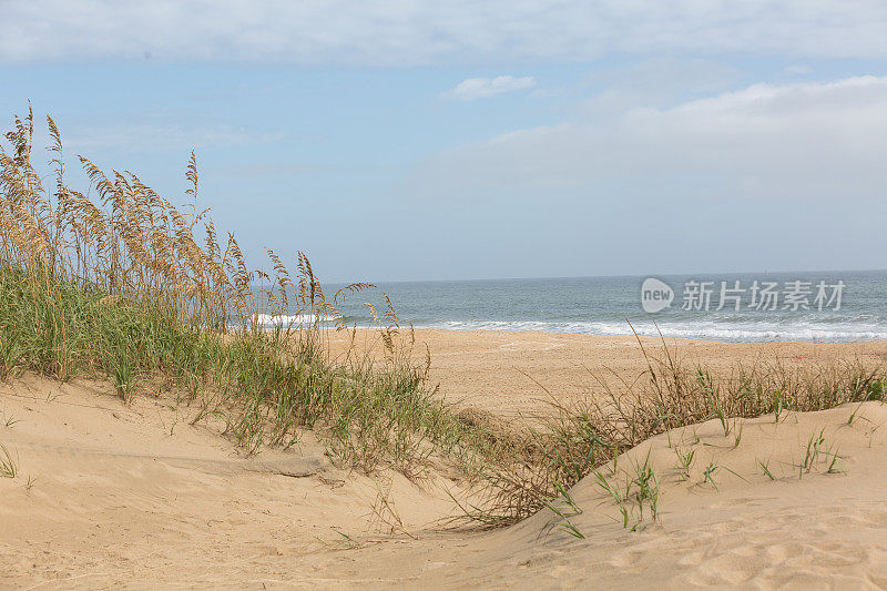 美国的沙滩草和沙丘通向沙滩，有白云和蓝天