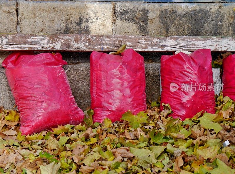 装着秋叶的塑料袋