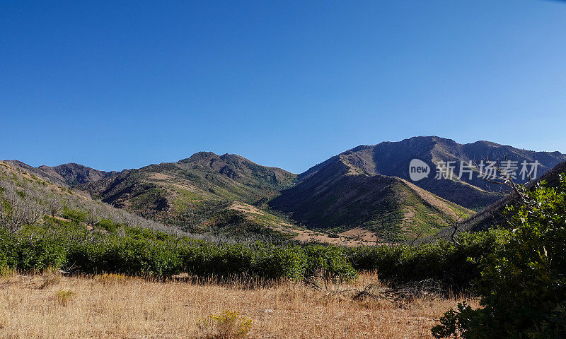 犹他州中部山区