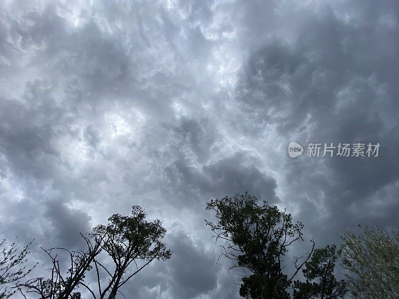 树下暴雨的天空