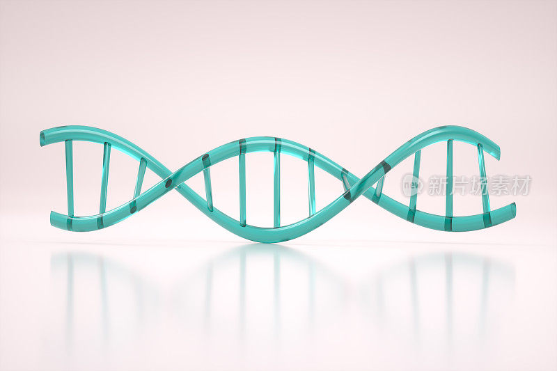 分子DNA螺旋，分子结构