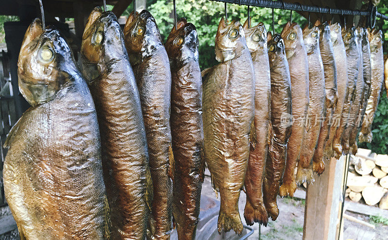 烟熏鲑鱼鱼