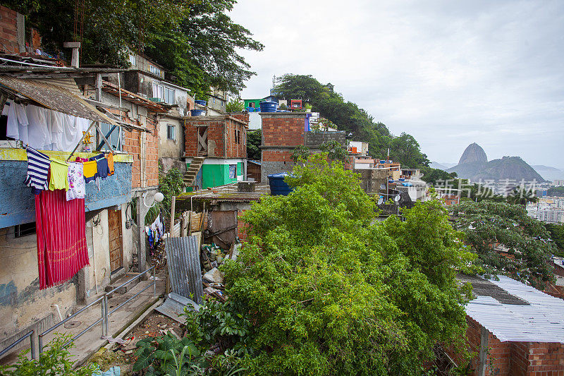 里约热内卢的圣玛尔塔贫民窟