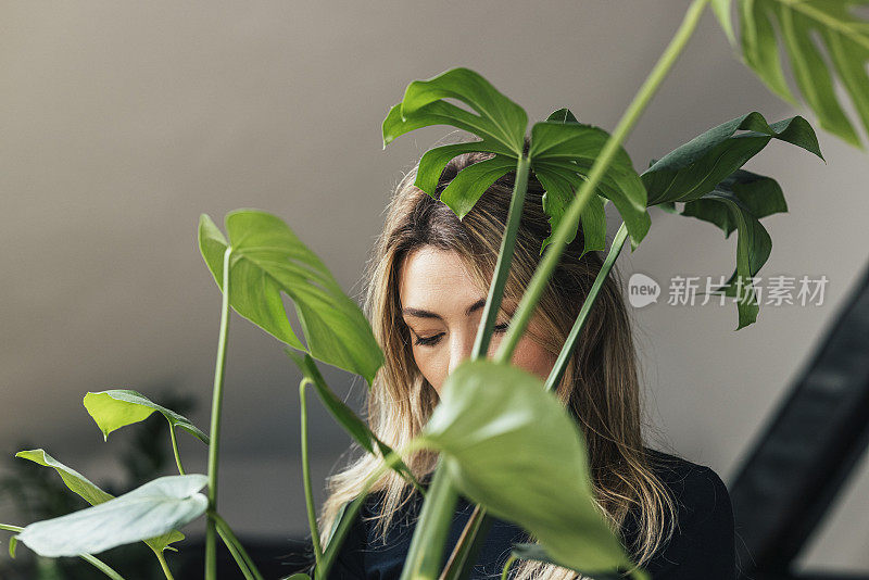 年轻的匿名白人妇女照顾她的房子植物-千禧植物父母