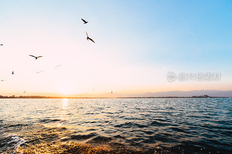 令人敬畏的日落天空和鸟在自然风景的海滩和海上飞翔