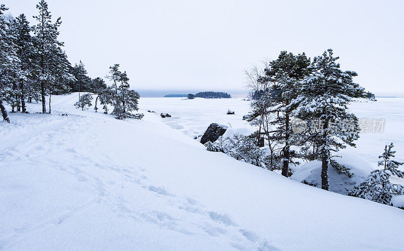 冬天的海岸景观。海湾上积雪覆盖的冰和白雪覆盖的大地。北欧的冬季。