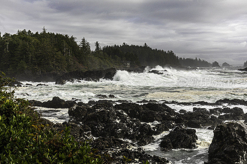 从加拿大不列颠哥伦比亚省乌克吕莱特野生太平洋步道上的安菲特里特点看，汹涌的海浪拍打着温哥华岛崎岖的西海岸。