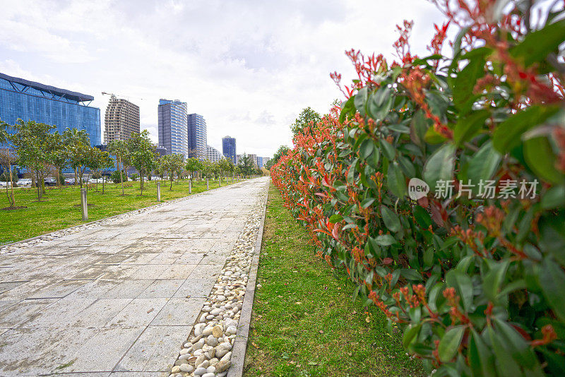 2022年3月，乔治亚州巴统市的花园中，红色的墙植物