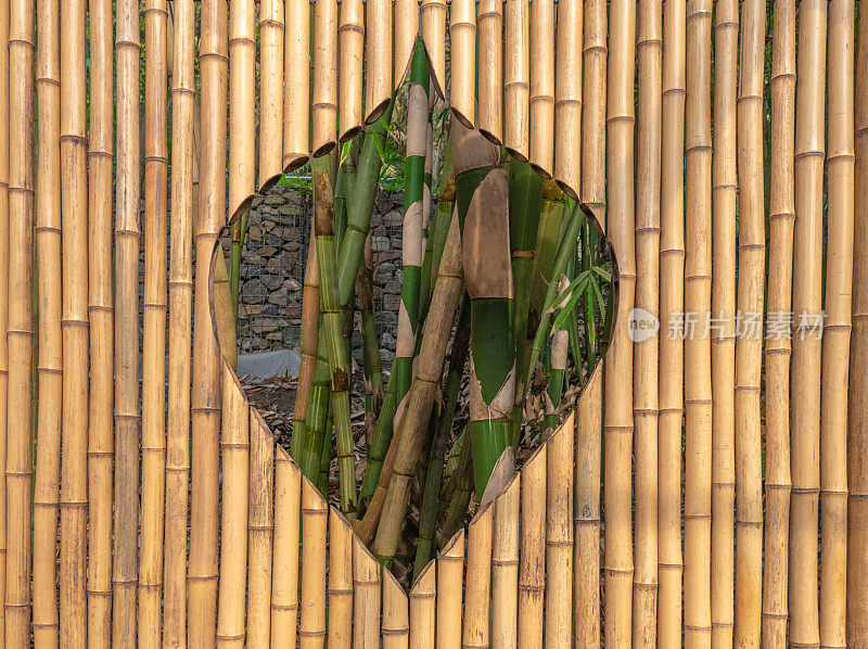竹屏风后面有竹