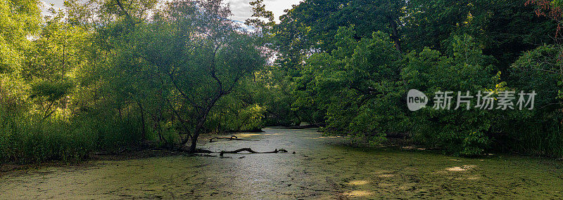 自然景观-亨德里山谷的沼泽