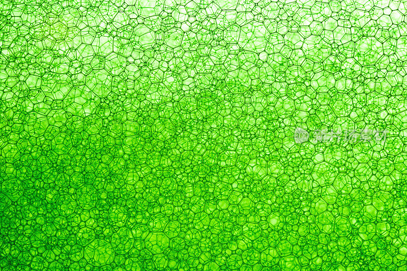 绿色细胞宏观纹理，绿色细胞背景，泡沫泡沫肥皂或洗发水洗涤，波兰，生物化学，生物技术，实验室，水