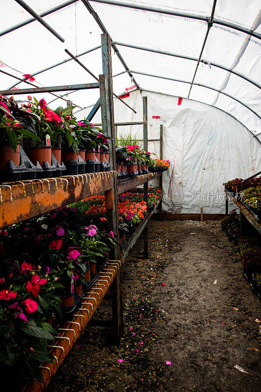 温室内