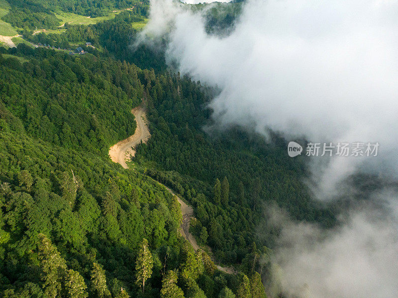 鸟瞰图:一条穿过森林的土路在高山上，云层覆盖着森林